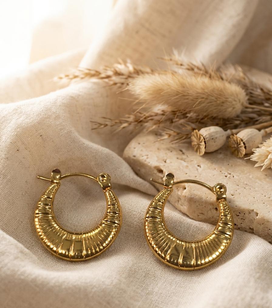 A-002 Women Golden Hoop Earring (Anti Tarnish)