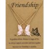 Pink Butterfly Duo Necklace (Set of 2)